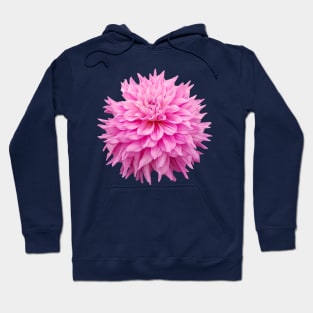 Pink Ball Dahlia Flower Hoodie